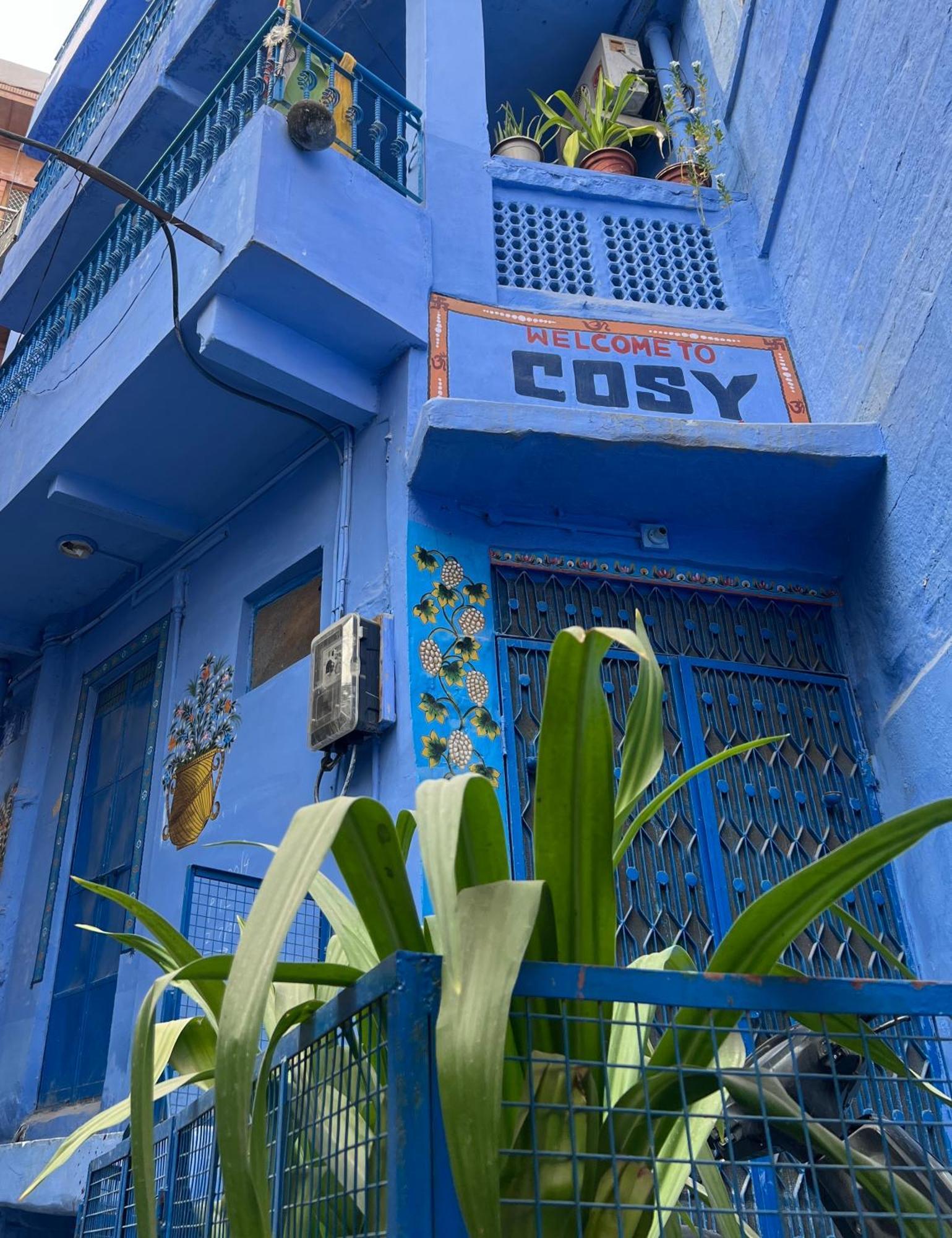 Cosy Guest House Джодхпур Экстерьер фото